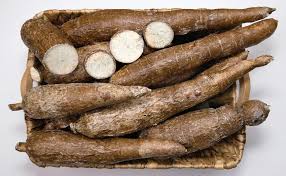 Fresh Cassava