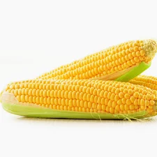 Fresh Corn