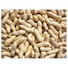 Fresh arachide peanuts