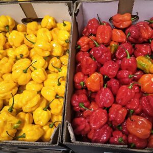 Fresh Habenaro{pepper}