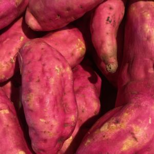Uganda sweet potatos