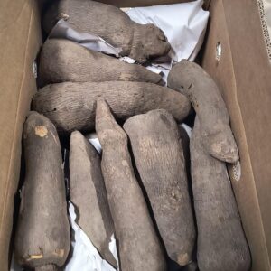 Fresh yam