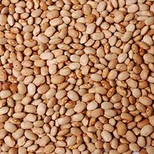 Beans