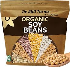Organic soya Beans