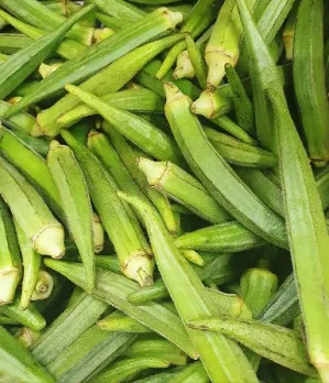 Fresh Okra