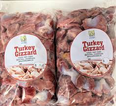 Turkey Gizard